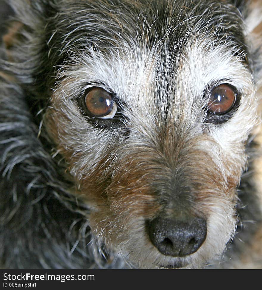 Rocky close-up