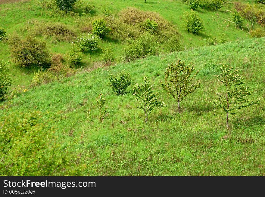 Pure green landscape. Pure green landscape