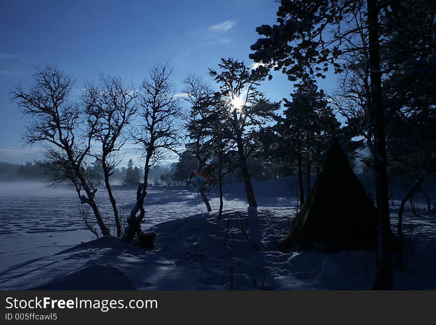 The sun rising between the threes in norway. The sun rising between the threes in norway.