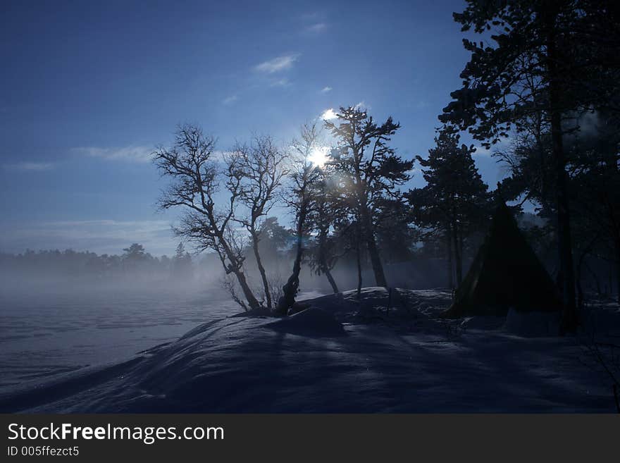 The sun rising between the threes in norway. The sun rising between the threes in norway.