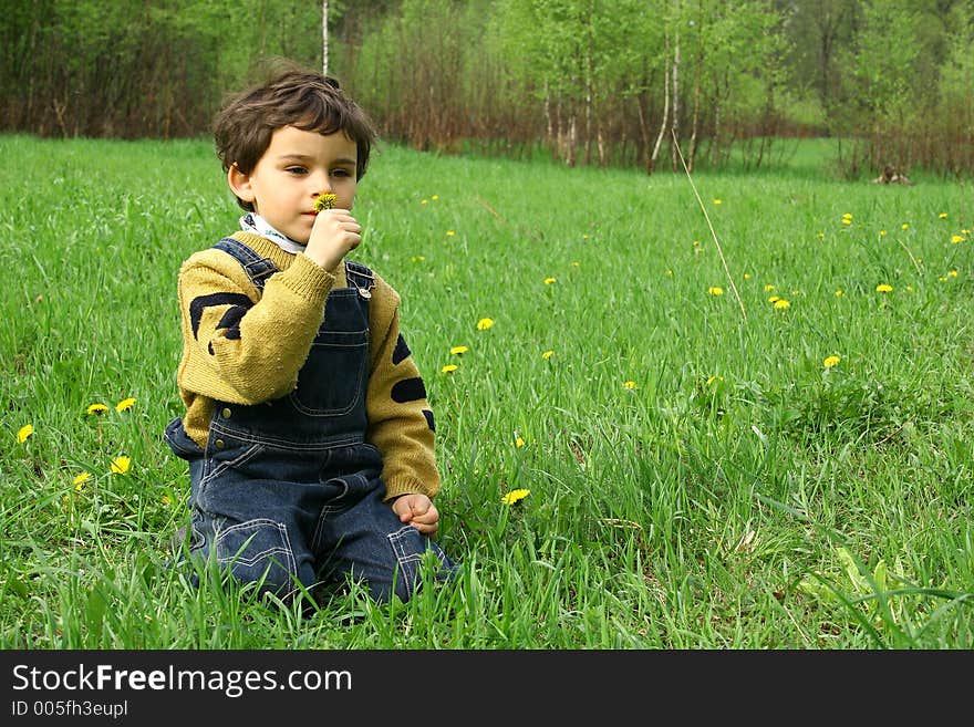 Spring day. Game on a meadow with dandelions. Spring day. Game on a meadow with dandelions.