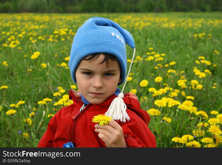 Meadow and dandelions.