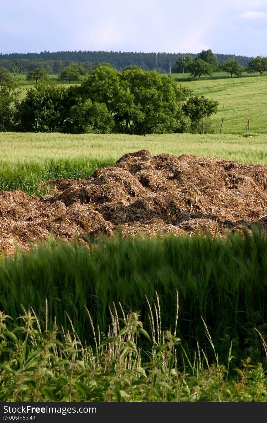 European agricultural area