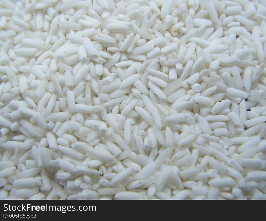 Old white siamese rice