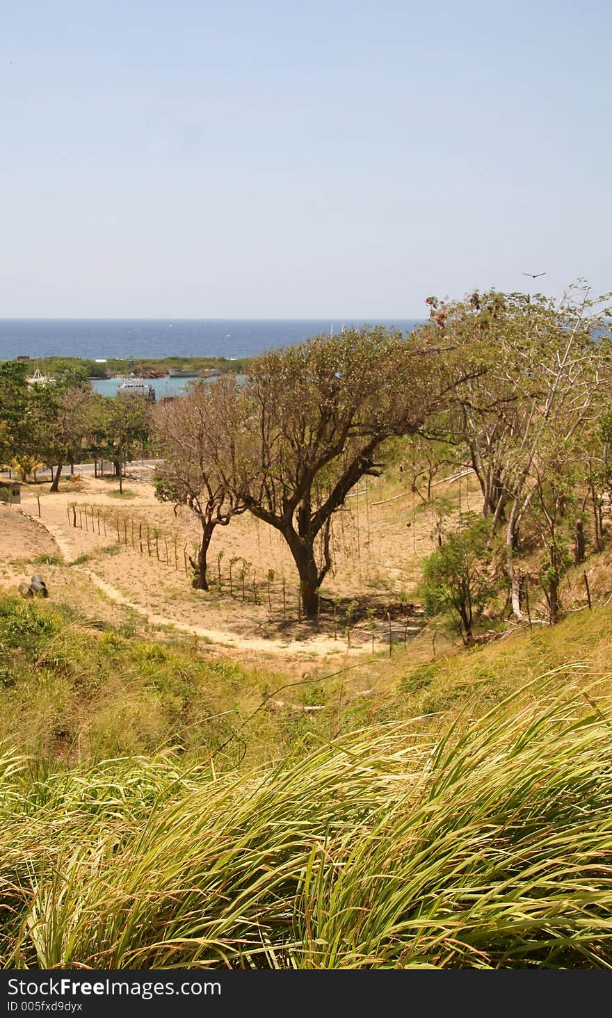 Grassland by the Ocean