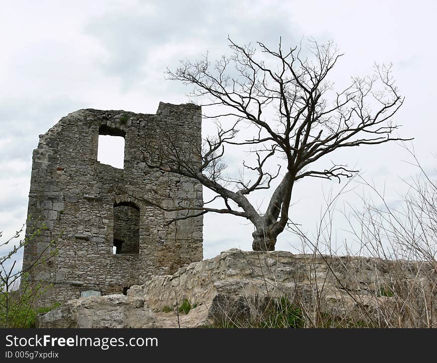 Ruin with a dead tree in front