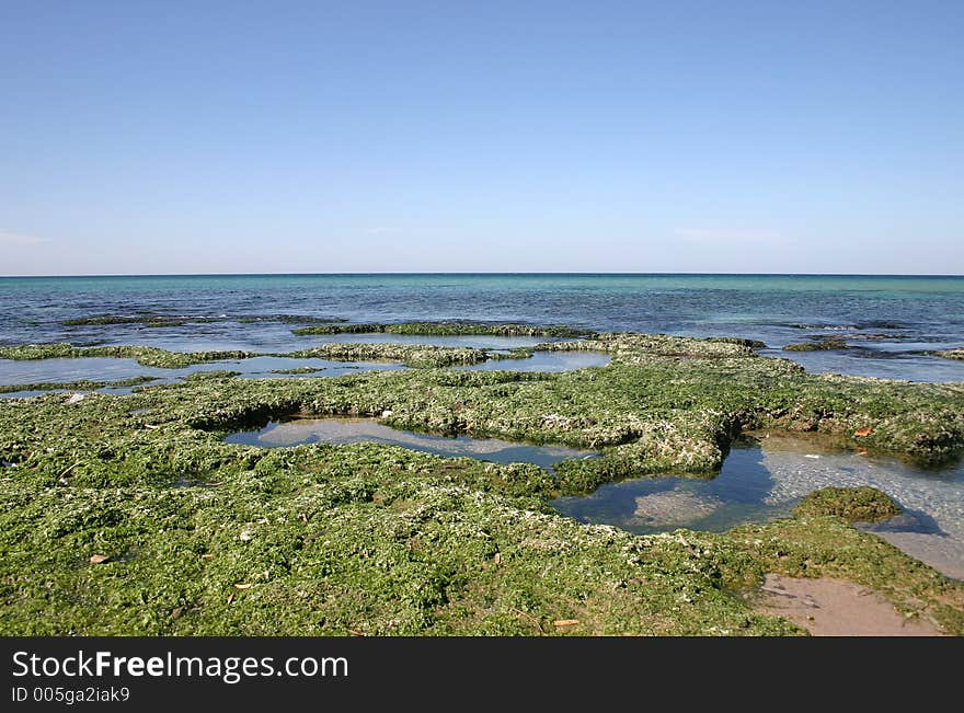 Clean Sea View