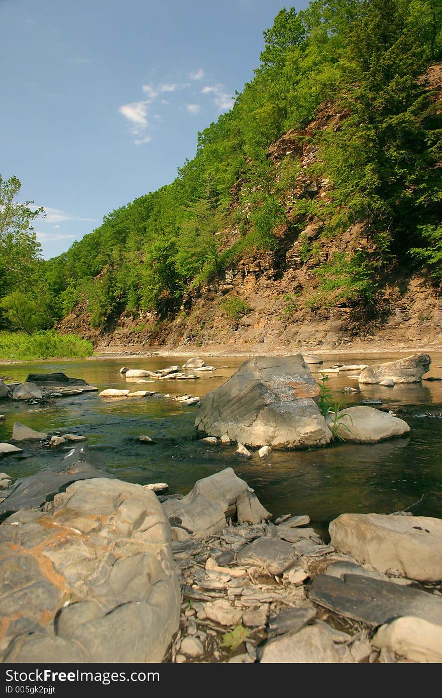 Creekbed on a beautiful day. Creekbed on a beautiful day