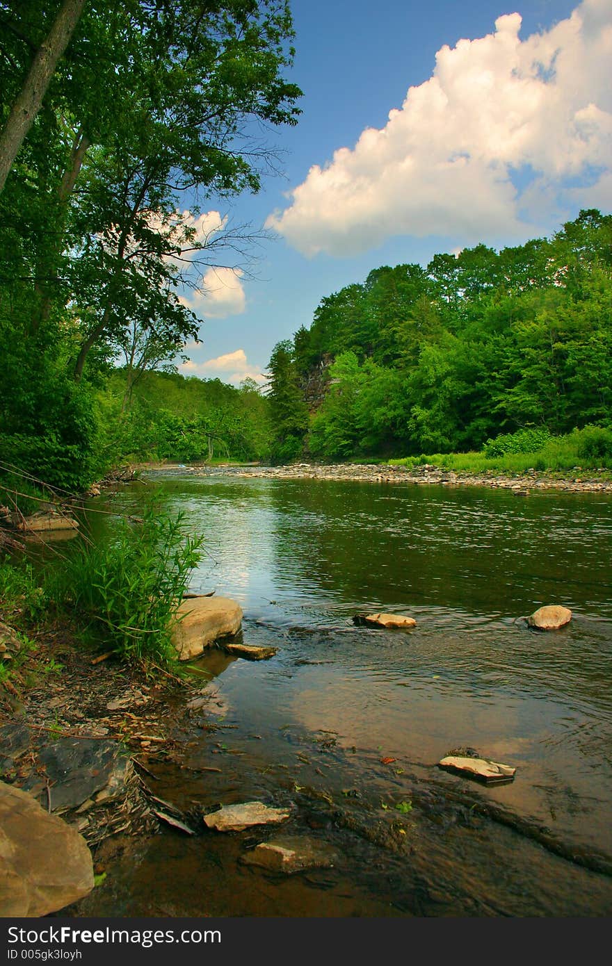 Creekbed on a beautiful day