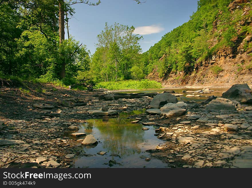 Creekbed on a beautiful day. Creekbed on a beautiful day