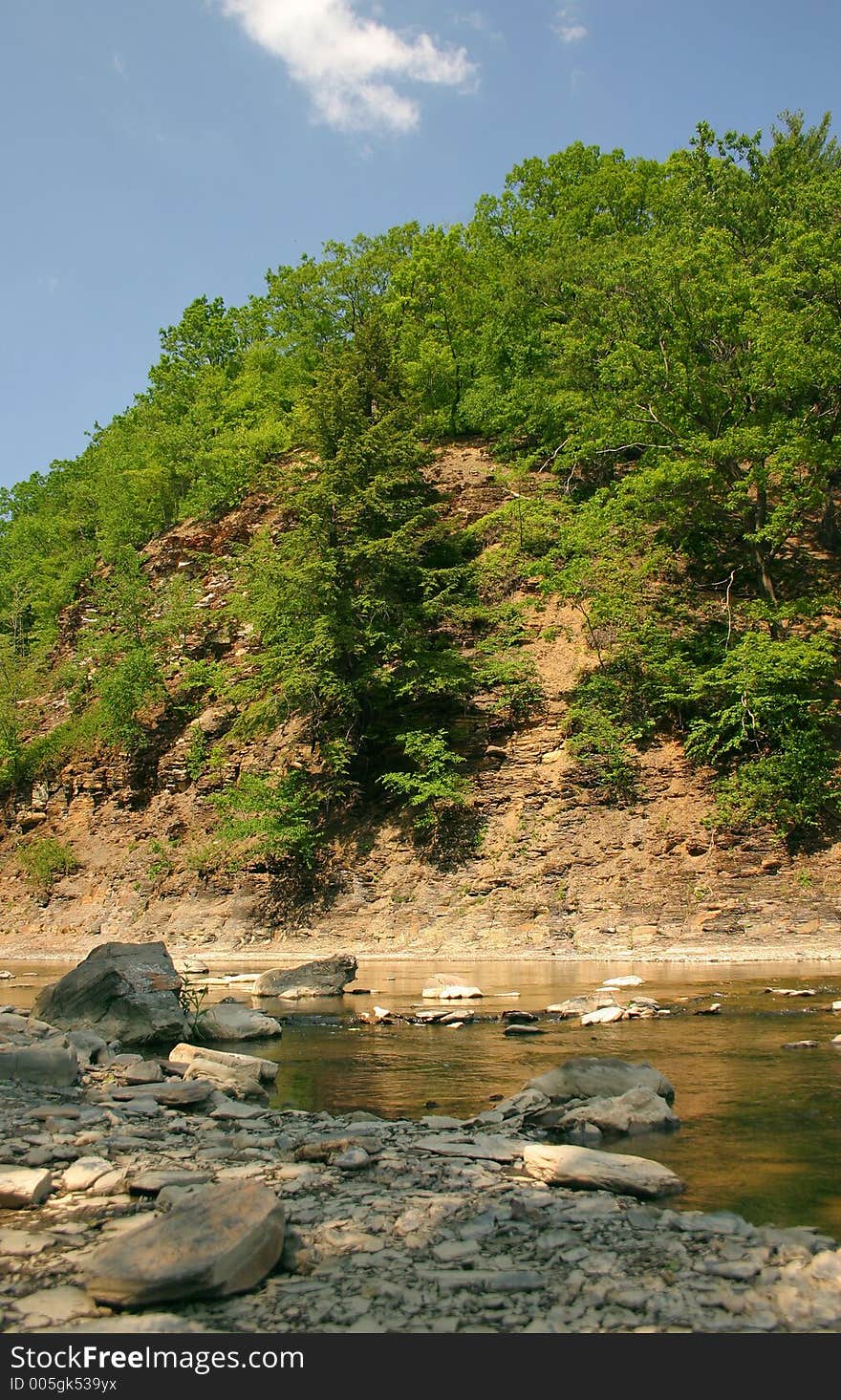 Creekbed on a beautiful day. Creekbed on a beautiful day