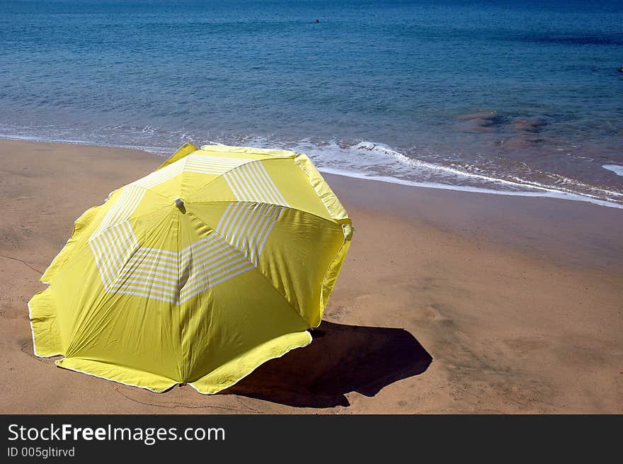 Yellow Umbrella