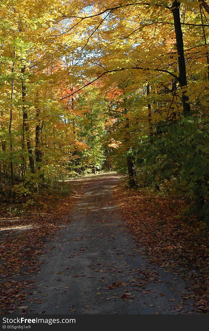 A driveway shot in the fall. Ontario. A driveway shot in the fall. Ontario.