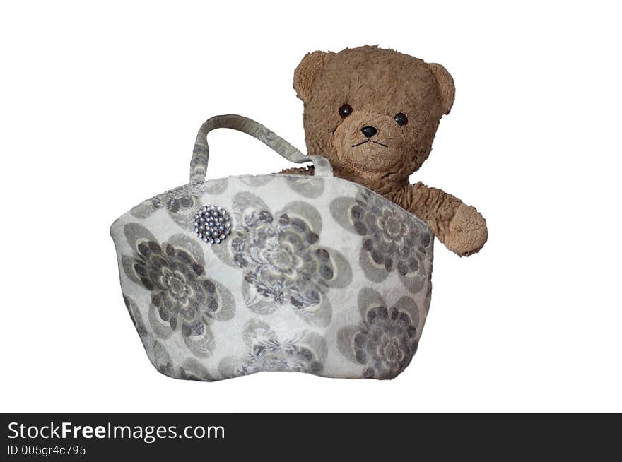 Teddy in the bag