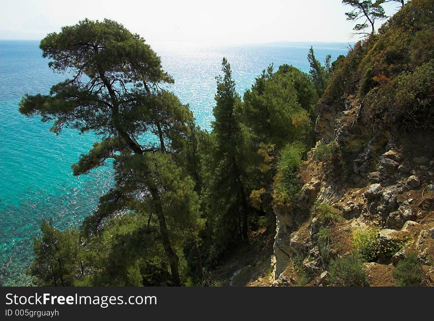 Rock, pines and sun,Halkidiki, Greece