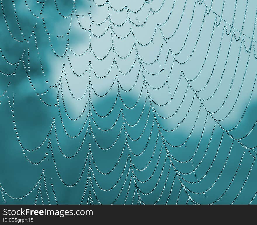 A colored photo of a spiderweb