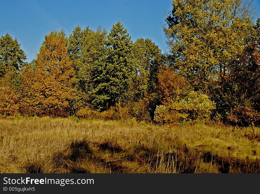 Autumn in Poland