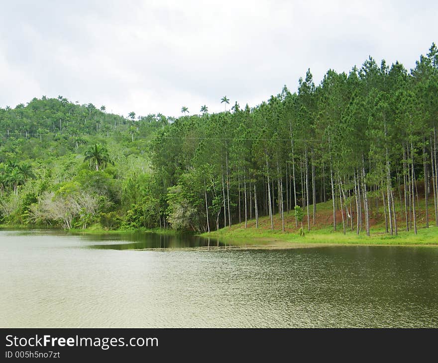 Beautiful lake landscape