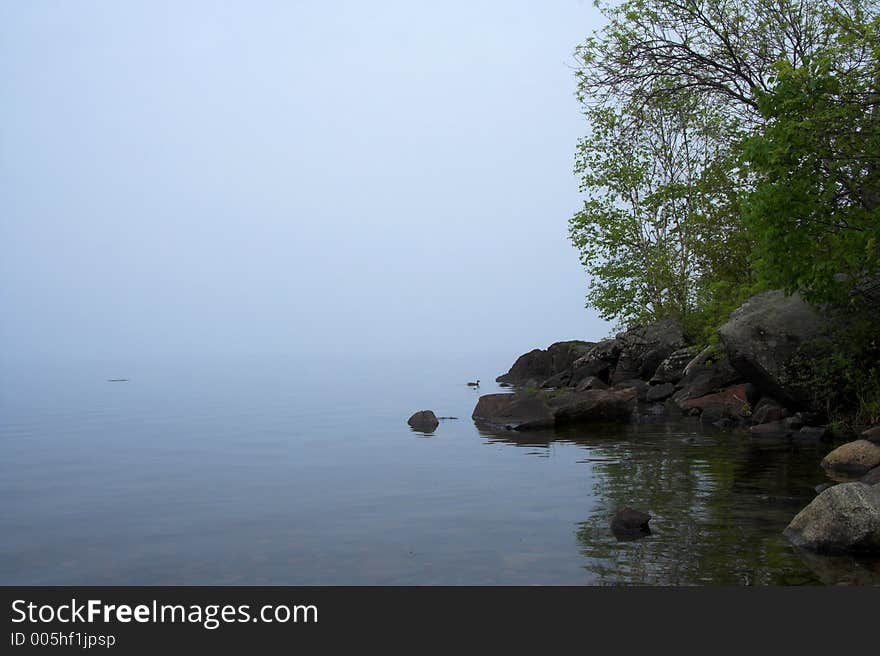 Morning Lakeshore