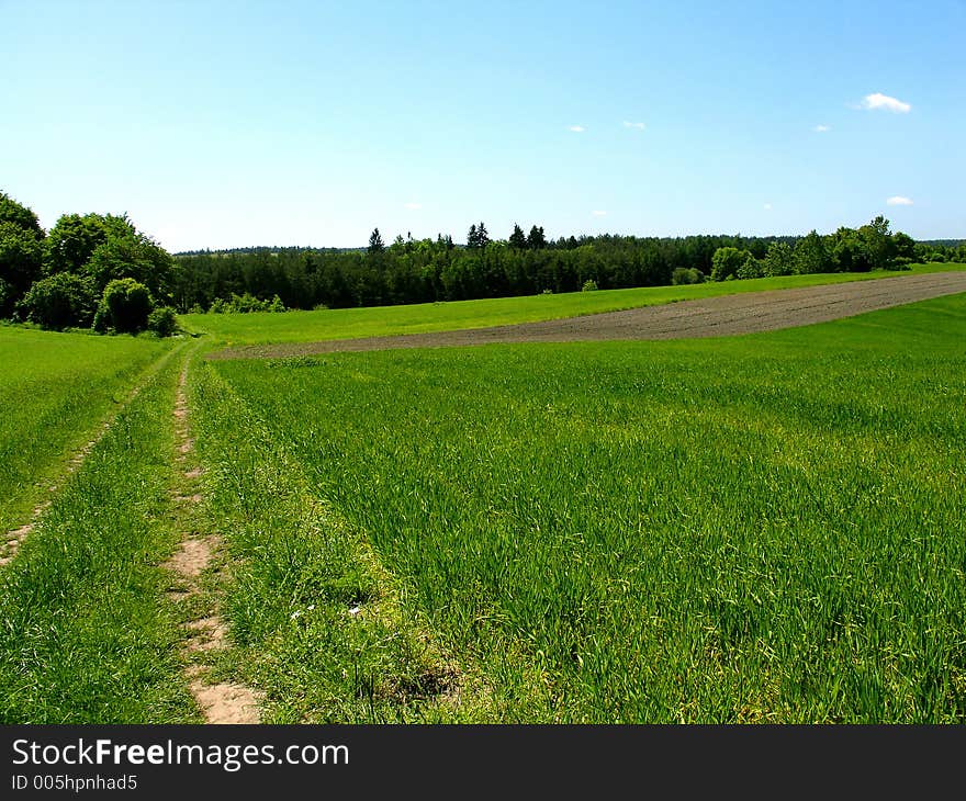 Beautiful Countryside View