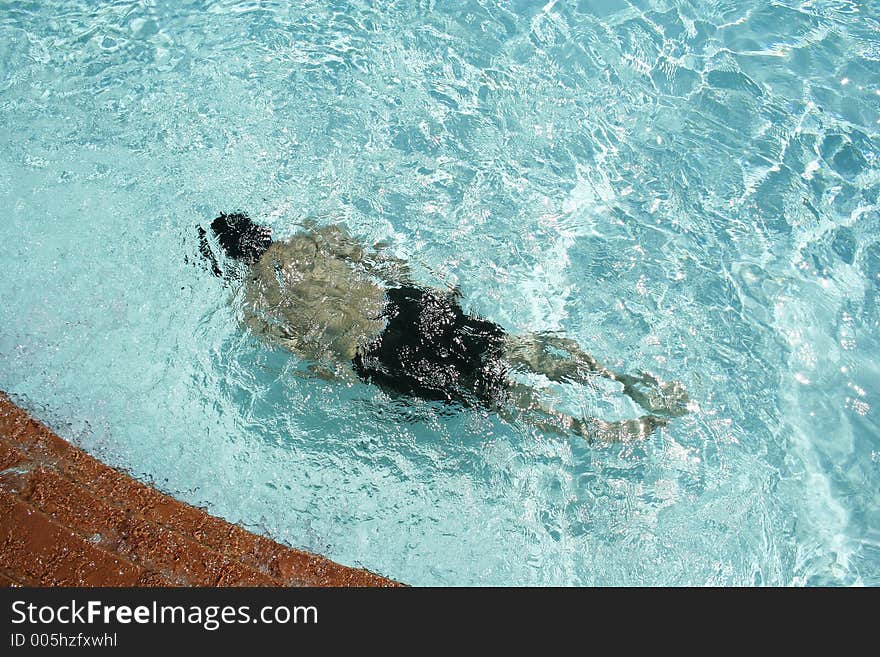 A man swimming and diving under the water. A man swimming and diving under the water