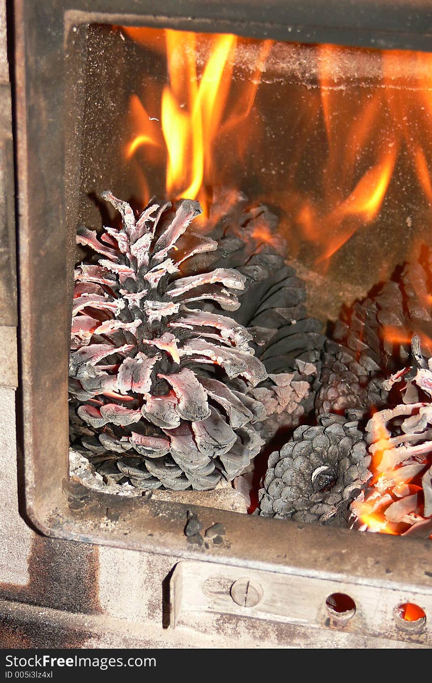 Fireplace fire is going to flame with pines. Fireplace fire is going to flame with pines.