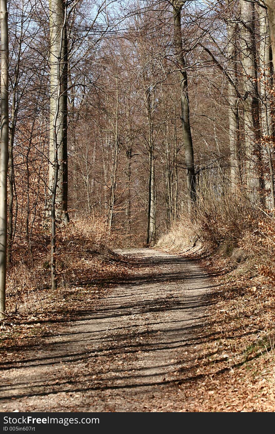 Autumn in the countryside  in denmark. Autumn in the countryside  in denmark