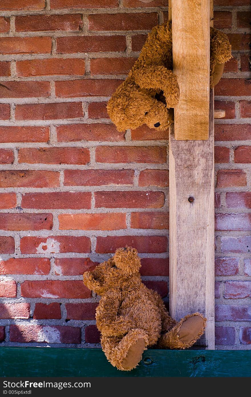 Cute Teddybear Couple Looking At Each Other