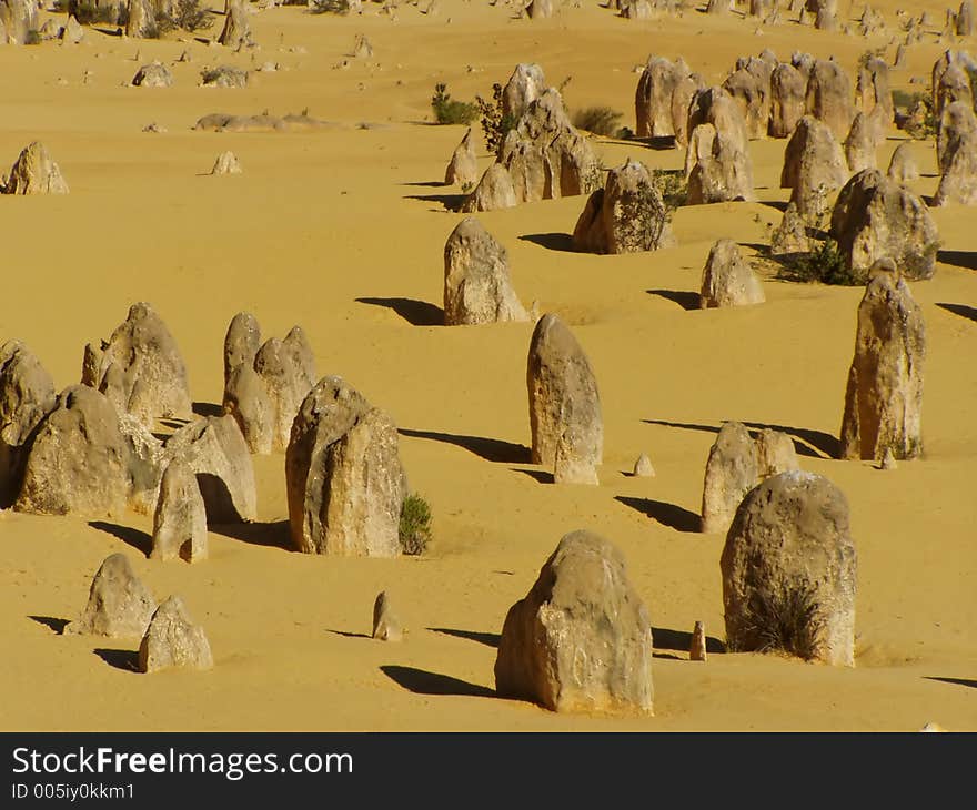 Desert landscape