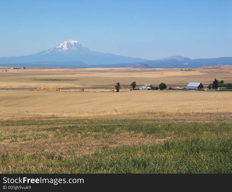 Ranching in Volcano Country