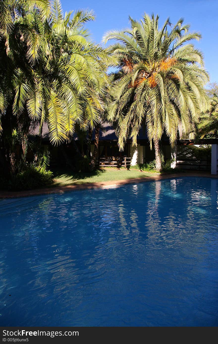 Relaxing pool under the palm trees in the tropics. Relaxing pool under the palm trees in the tropics.