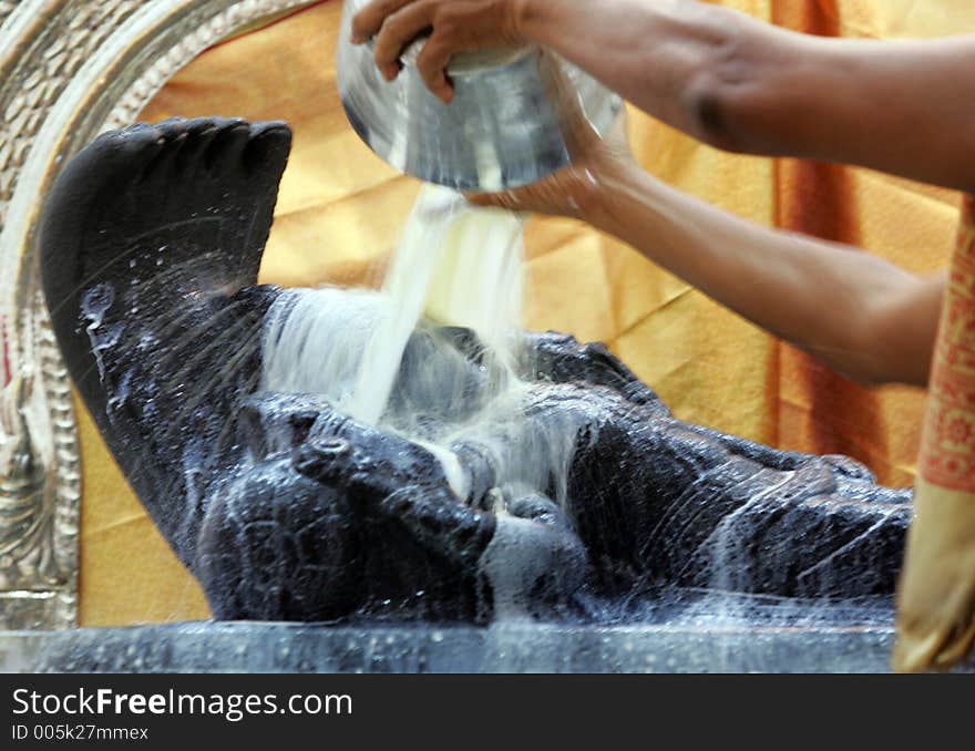 Bathing Hindu deitee with milk.