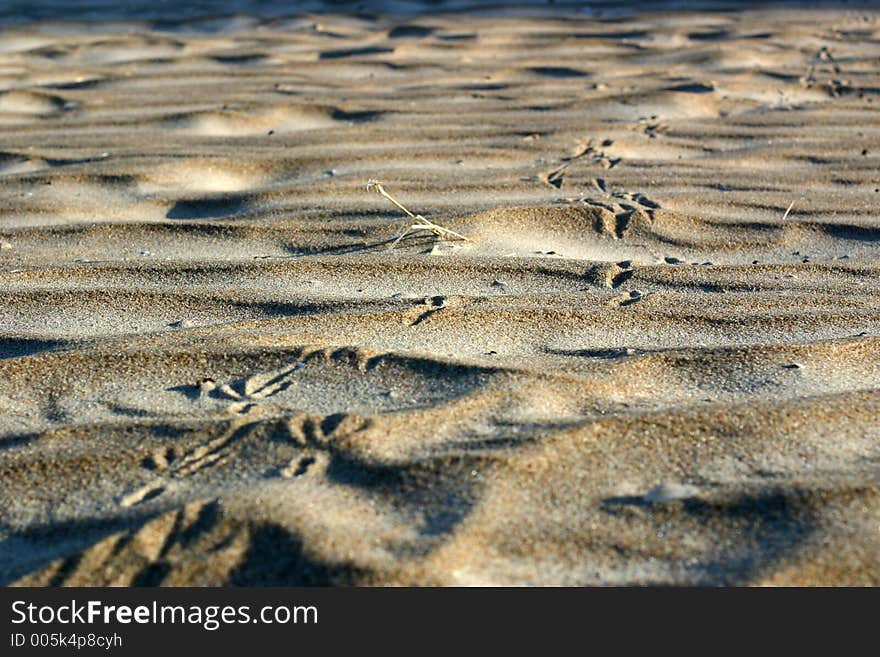 Footprint on the sand