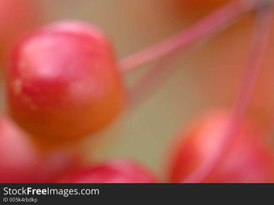 Cherry Pattern Background