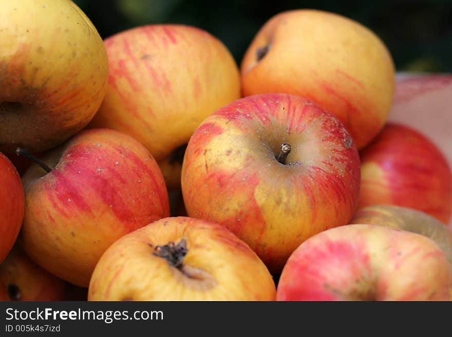 Close up picture of apples