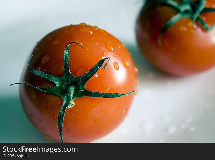 Tomatoes on white background