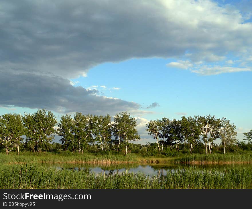 Summer landscape. Summer landscape