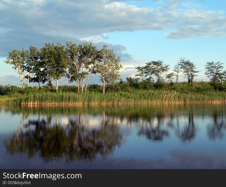 Summer landscape. Summer landscape