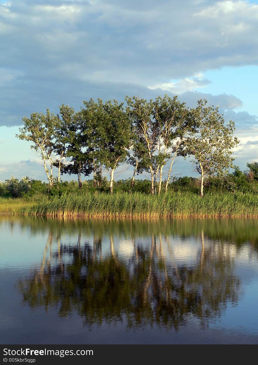 Summer landscape. Summer landscape