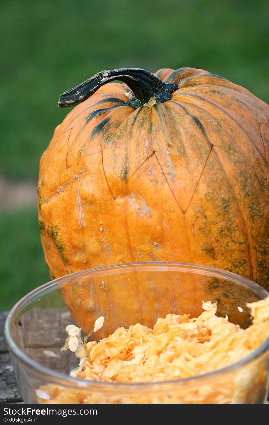 Closeup picture of pumkins. Closeup picture of pumkins