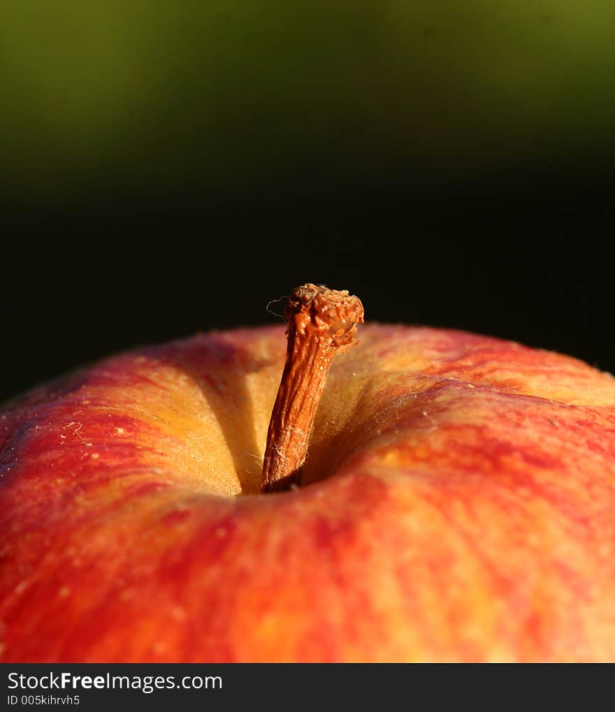 Close up picture ofan apple