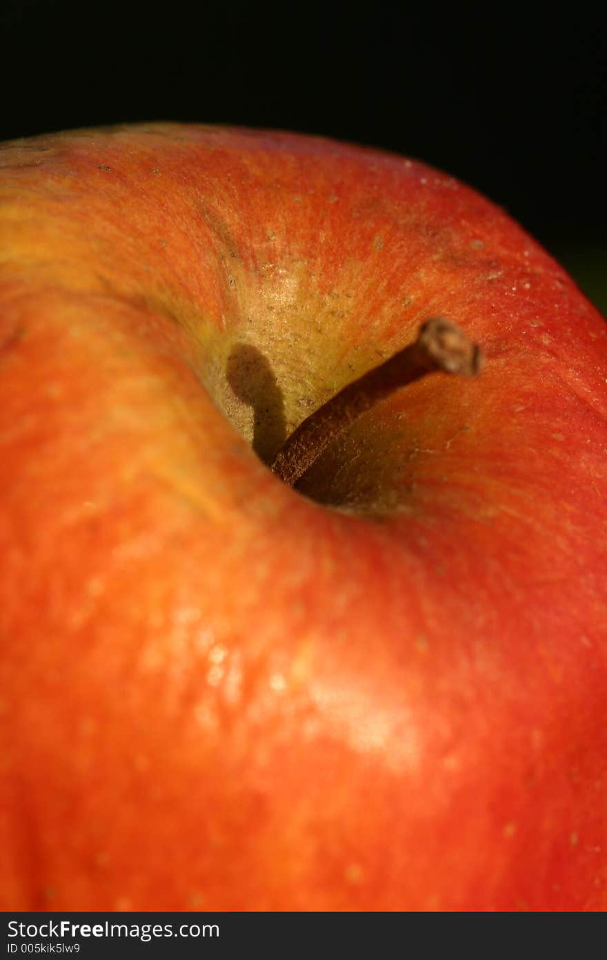 Close up picture of an apple