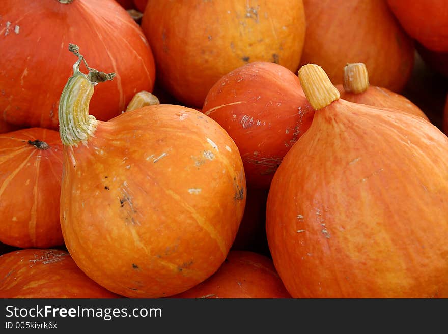 Closeup picture of pumkins. Closeup picture of pumkins