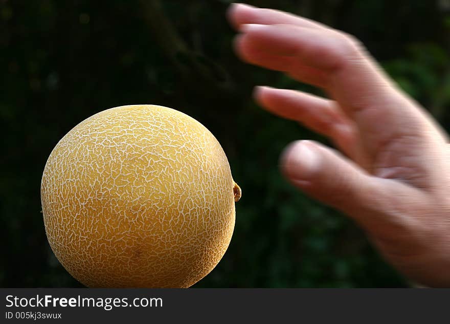 Close up picture of fruits , a study of colours and forms, a blurred hand (motion blur) on the way to a melon. Close up picture of fruits , a study of colours and forms, a blurred hand (motion blur) on the way to a melon