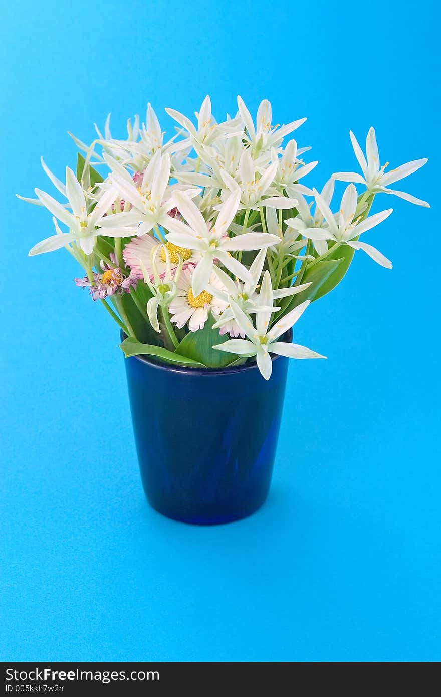 Spring flowers in mug over blue background