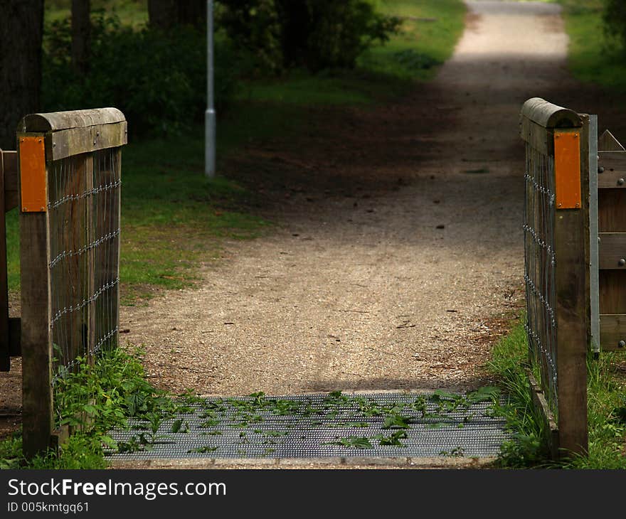 A grid in the road to keep the wildlife inside the forest