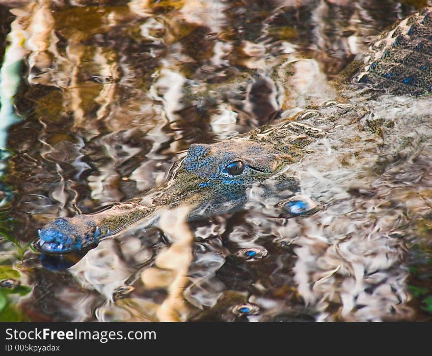 Camouflage