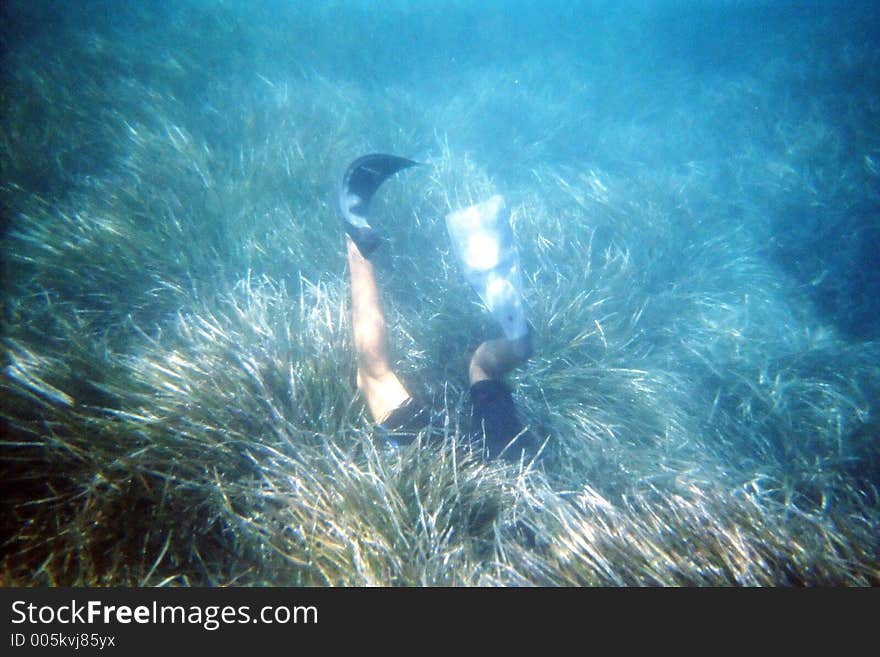 Diver s legs-noise is visible, film scan