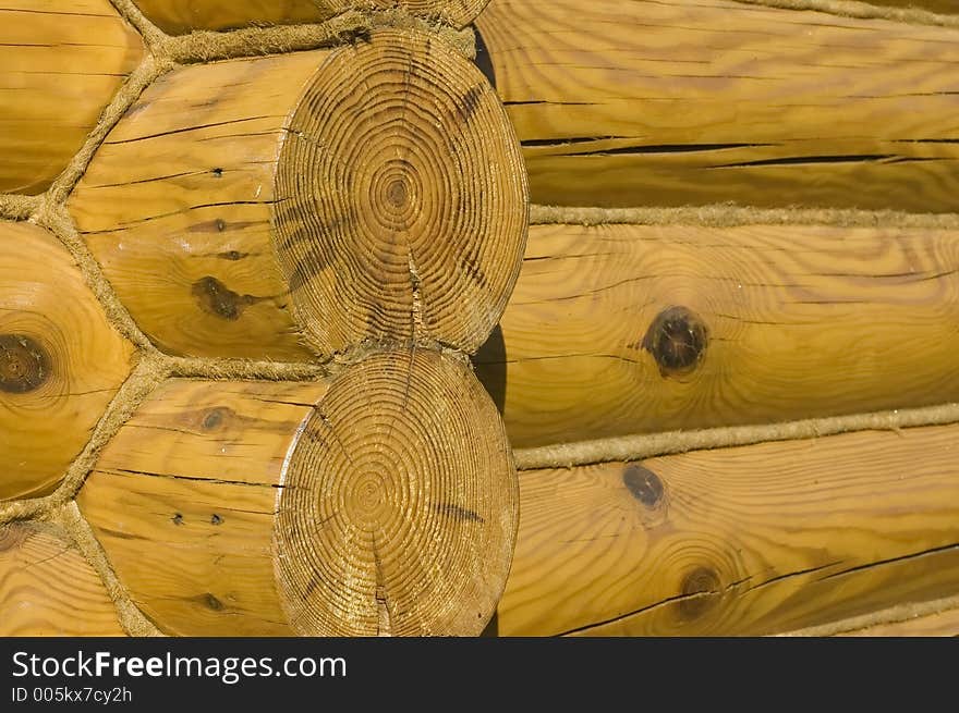 Wooden texture. Wooden texture