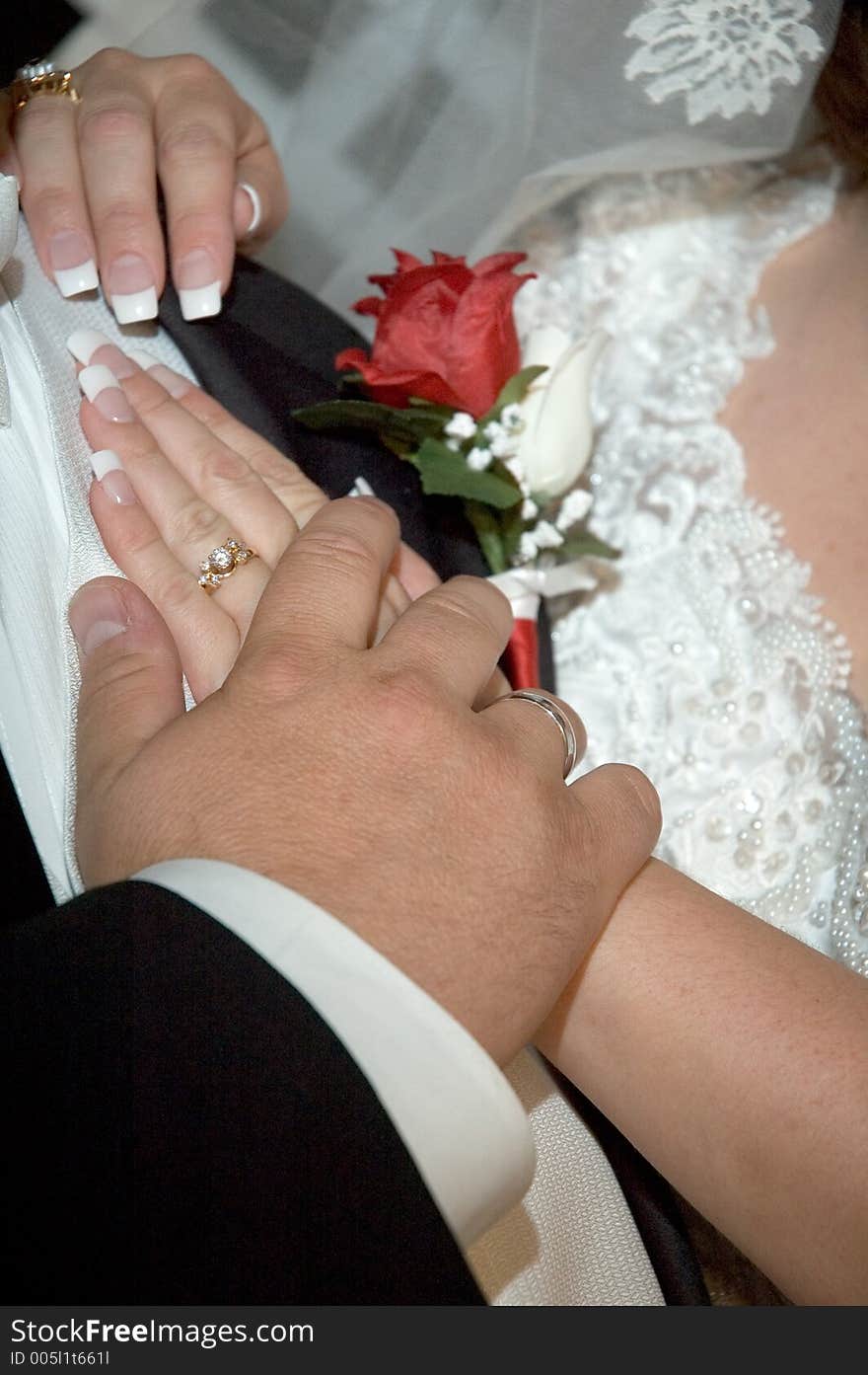 Wedding couples hands. Wedding couples hands